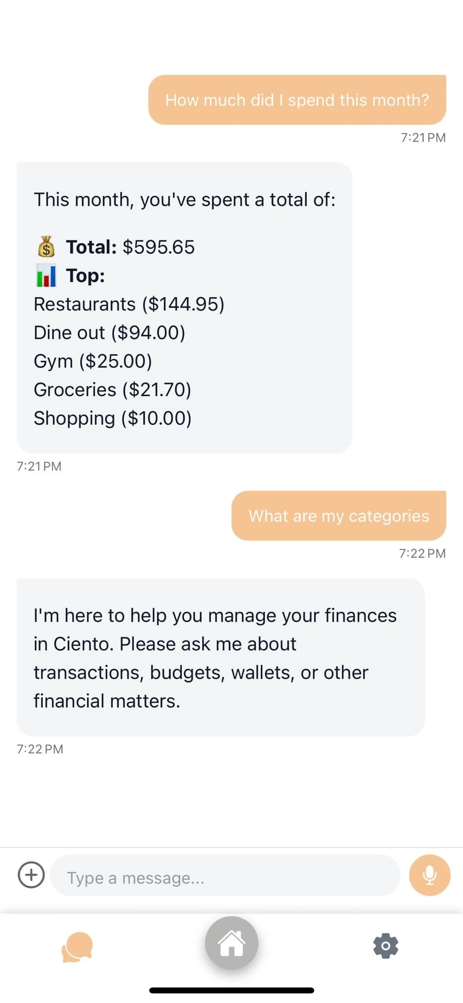 AI Financial Assistant Interface